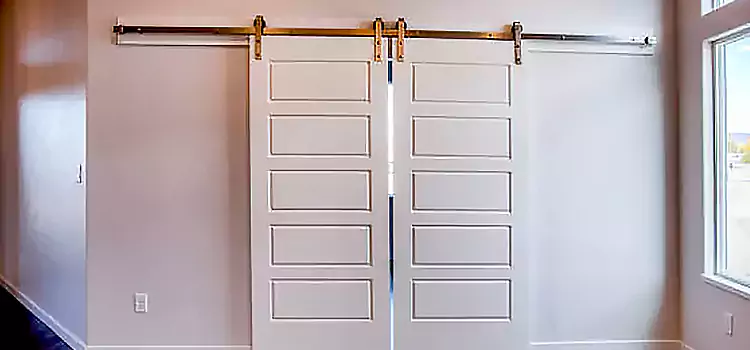 Glass Barn Door with Installation Hardware Kit Faribault