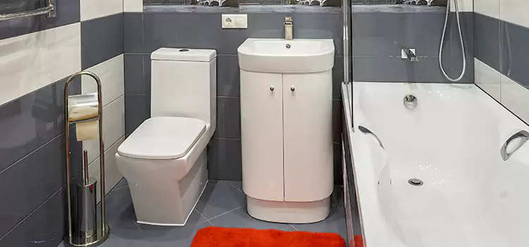 Hansgrohe Shaving Mirror Faribault